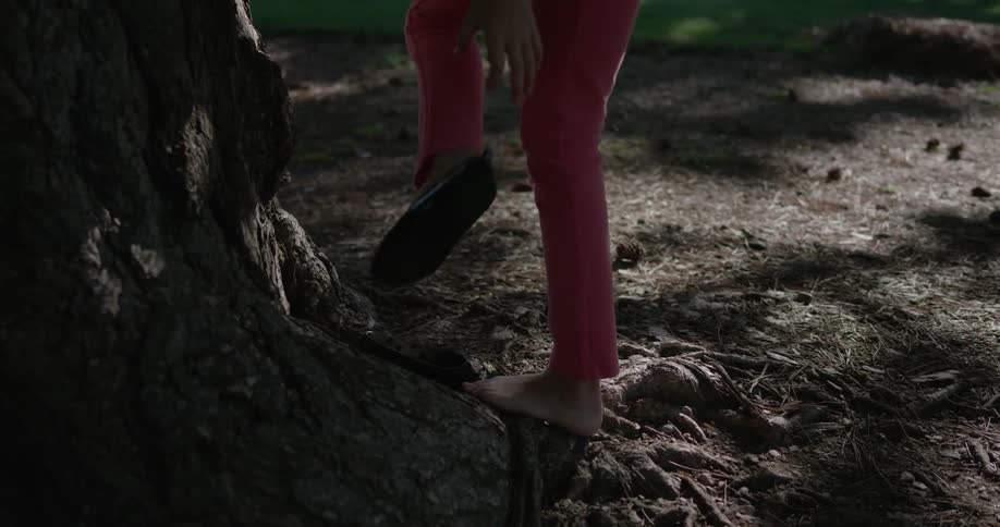 Someone is taking off their shoes next to a really large tree