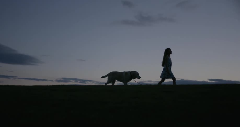 A girl walks a dog atop a hill