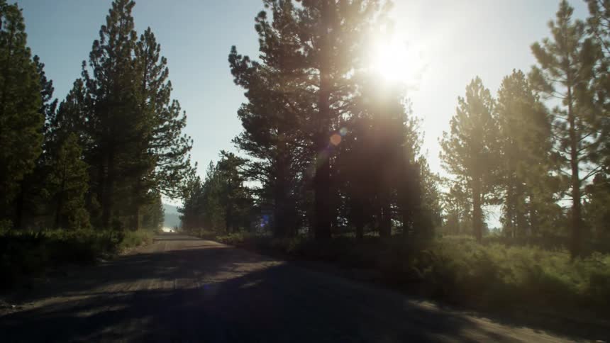 Road passing through trees on a sunny day