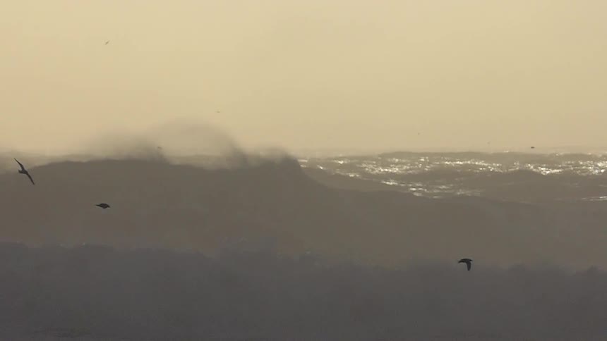 Birds fly in the sky above the water