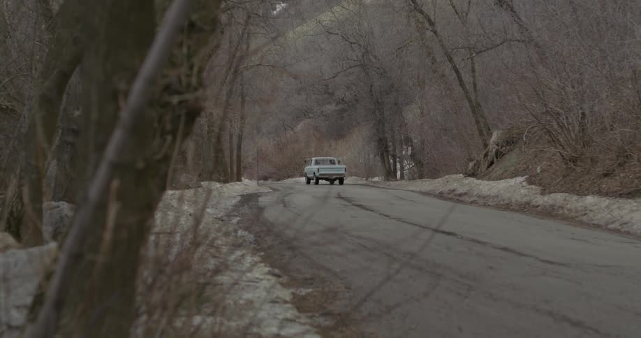 Truck driving down a tree lined country road