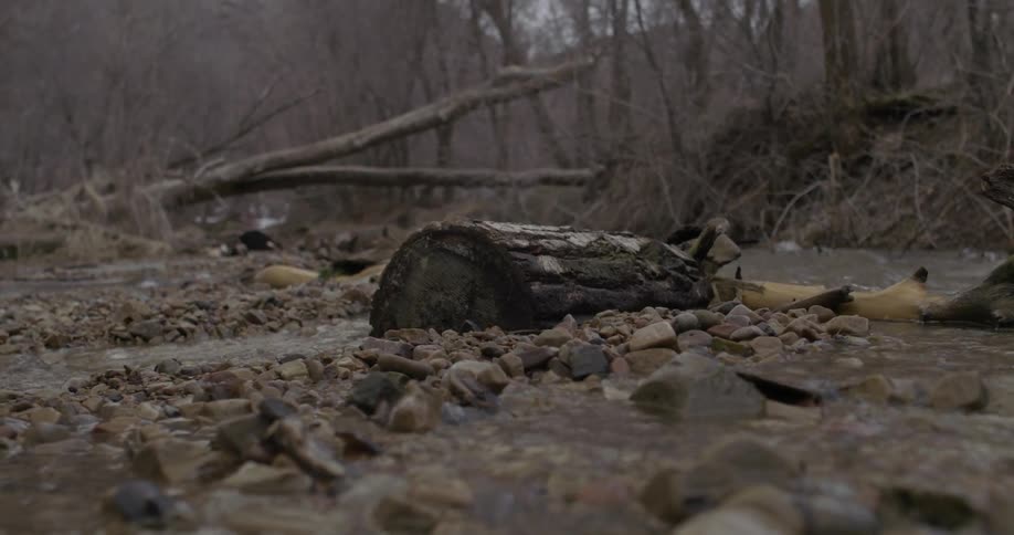 Water flows gently down a stream