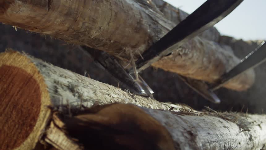 Heavy machinery carries large tree logs and stacks them