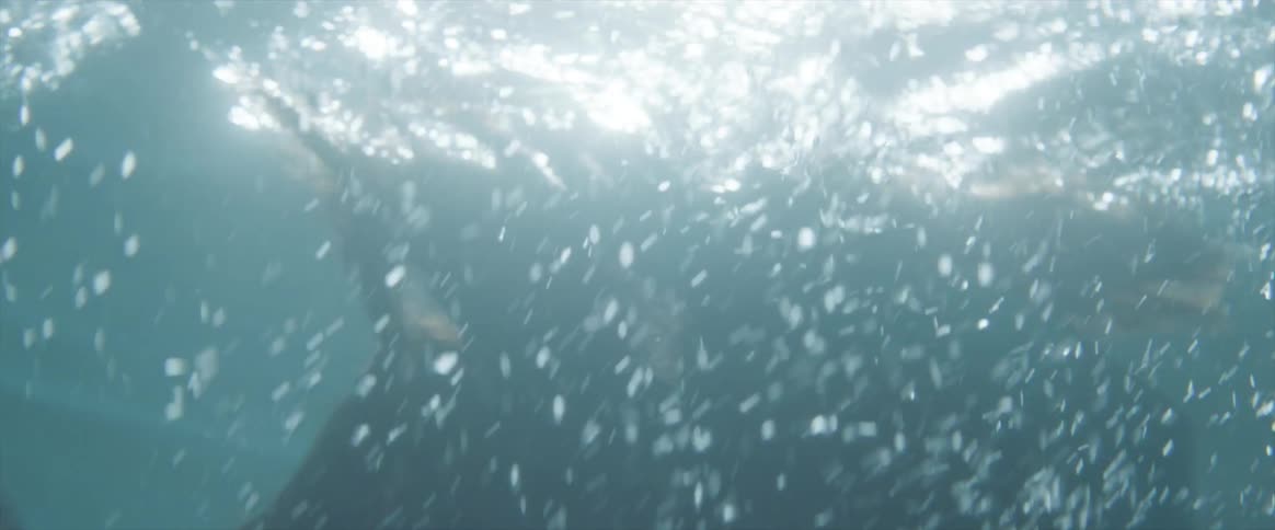 A woman swims in the water