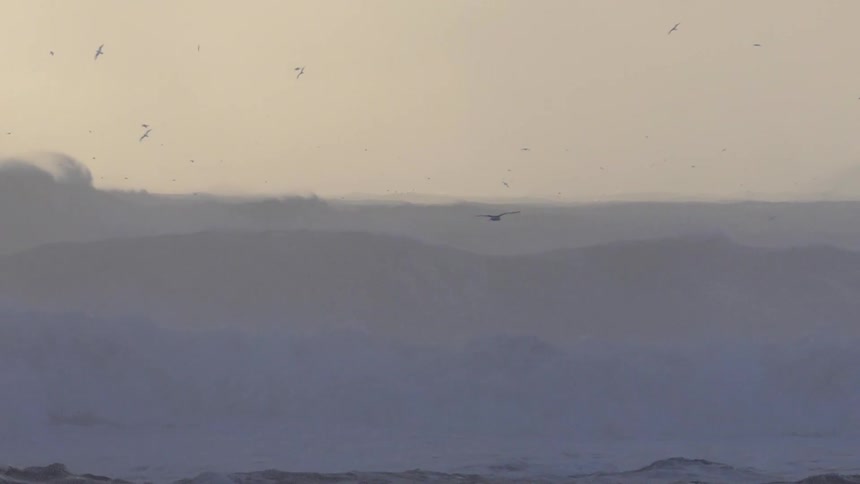 Seagulls fly over ocean waves at sunset