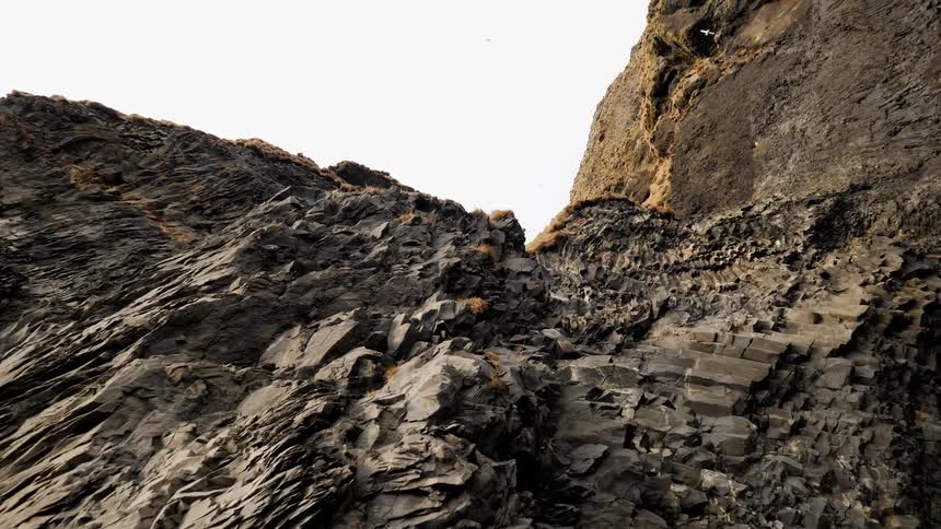 Birds flying over rocky cliff