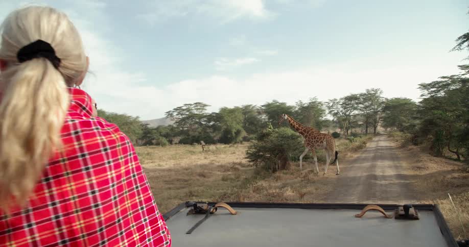 A woman takes a picture of a giraffe