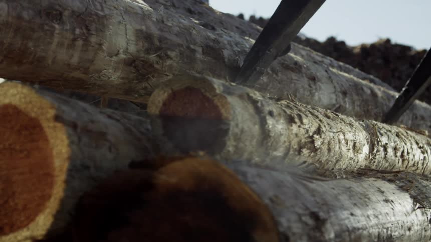 Logs are lowered onto a pile
