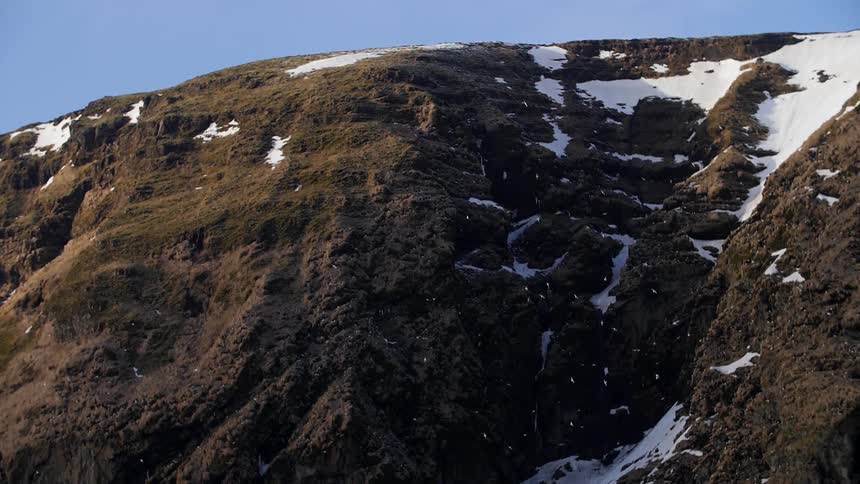 Birds fly near a snow dotted hill