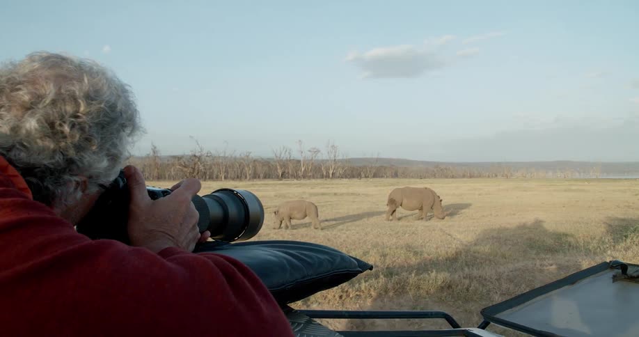 A man takes pictures of rhinoceroses