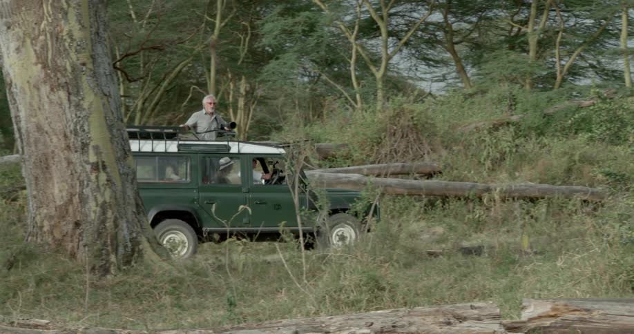 A man rides on a jeep through the woods