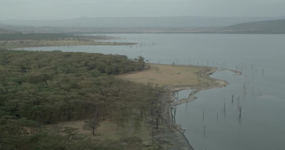 The coast has calm waters in this lake