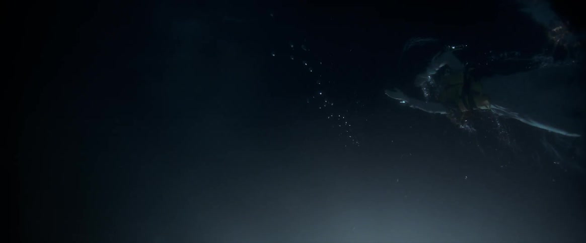 A person is swimming through the dark water above