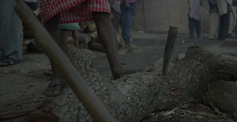 Villagers outside near a large tree log