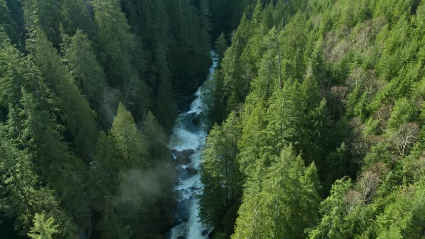 Water flows rapidly down a stream