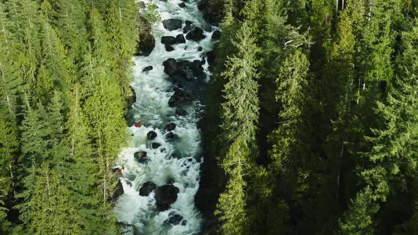Water flows rapidly down a stream
