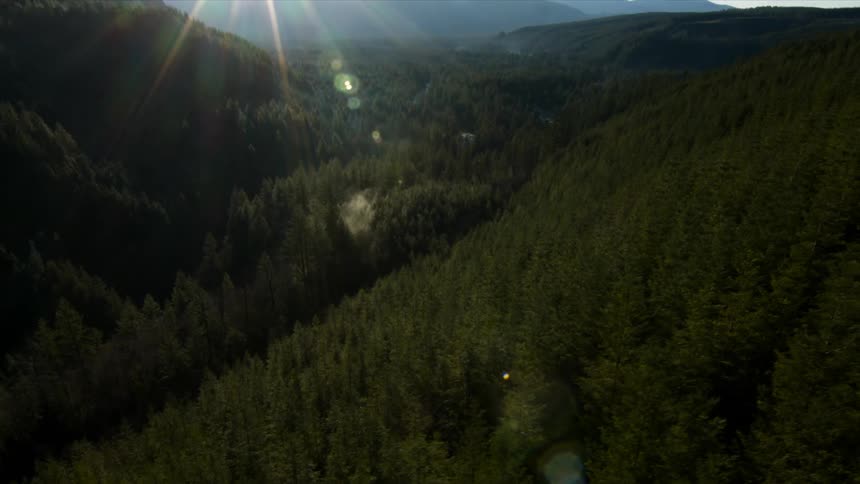 The sun shines over mountains and pine trees