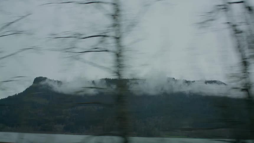 View of trees and smoky mountains