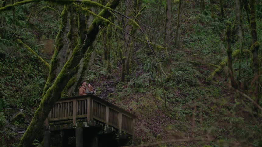 Two people stand on a balcony looking over a forest ahead
