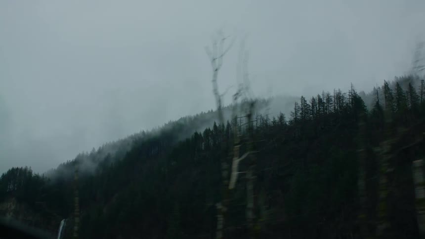 The tree covered mountains are covered with fog