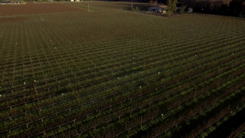Crops cover agricultural land