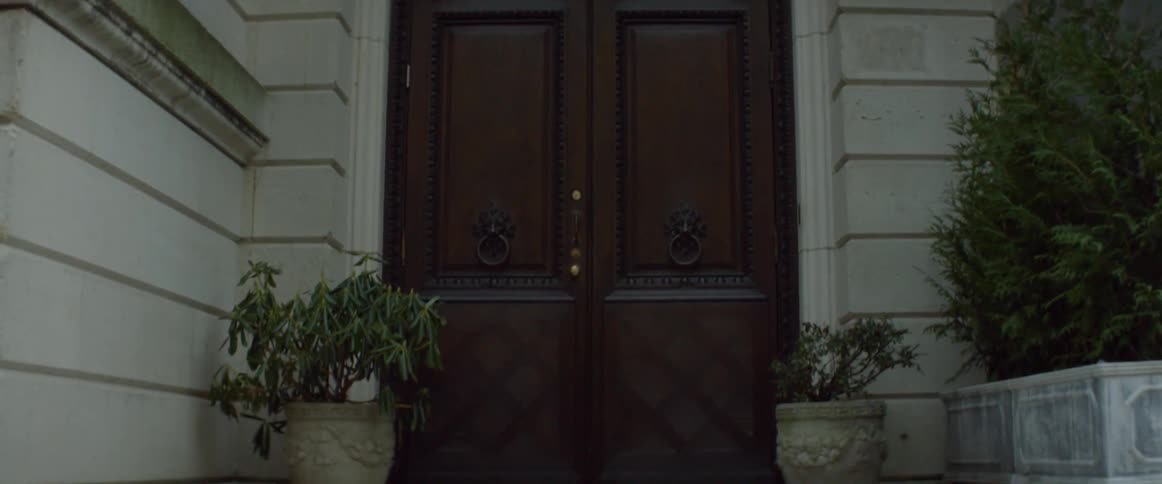 Large door with two potted plants beside it on top of steps