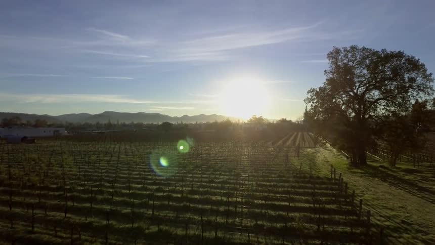 The sun is setting ahead past this farm