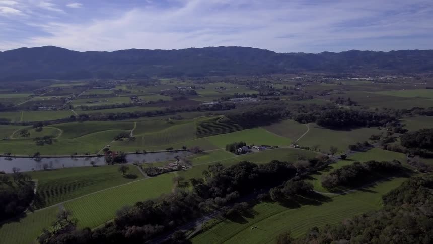 The fields below are green and full of trees