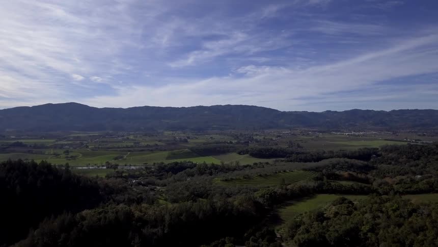 View of tree covered hilly landscape