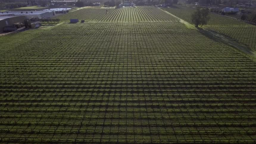 Vast farmland goes into the distance