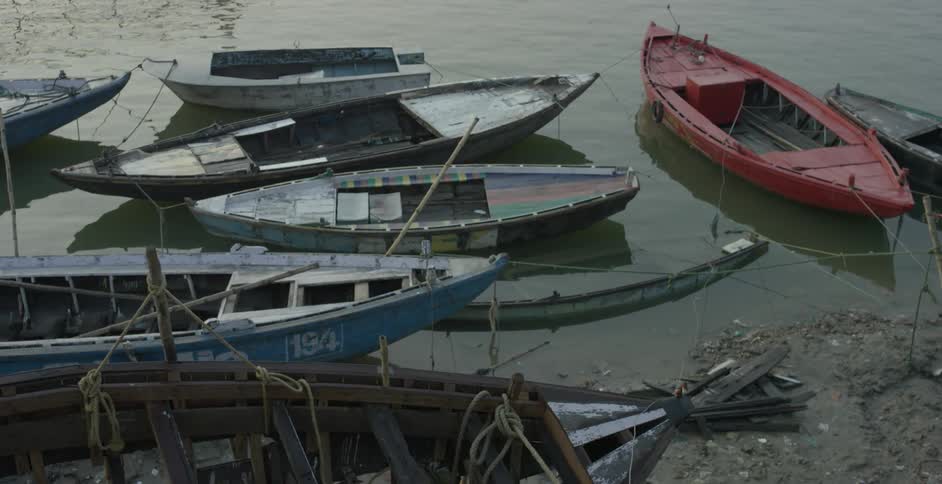 Canoes sit at the shore as a bird flies by