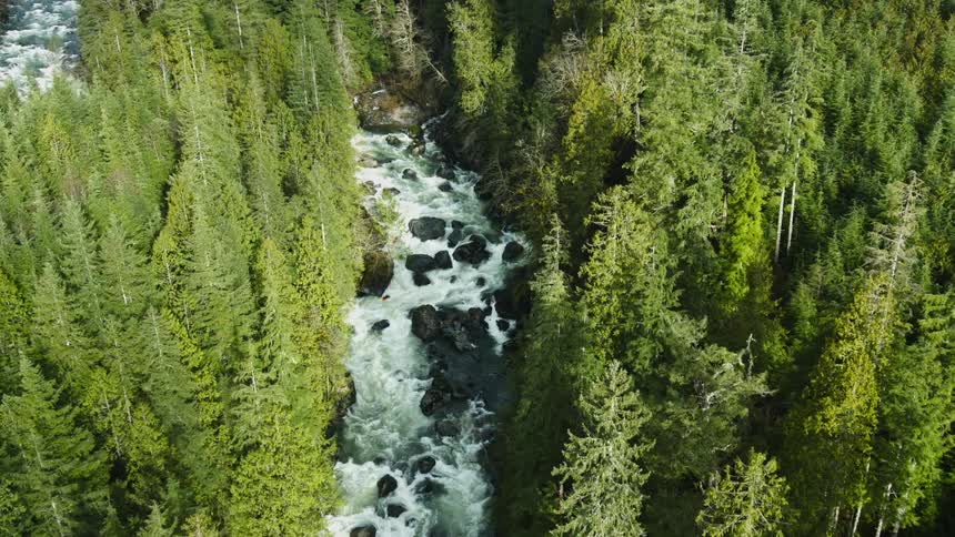 River flowing through rocks and trees on a sunny day