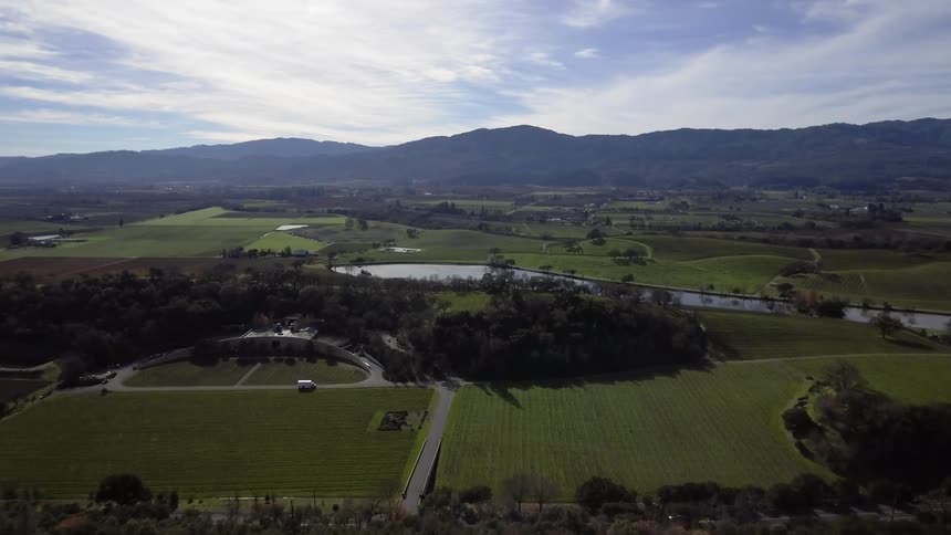 Fields of crops grow in a rural area