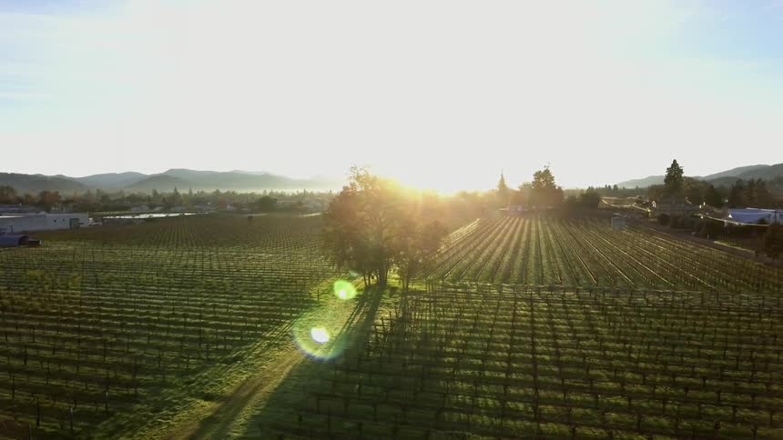 The sun is setting behind the farmland
