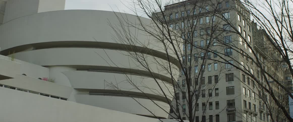 Bare trees stand in the city by large buildings