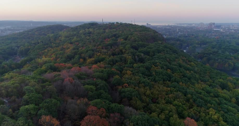 The mountain is covered with trees of different colors on a cloudy day