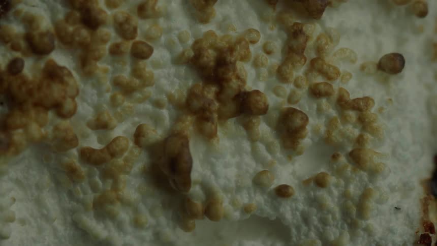 Time lapse of bubbles burning turning from brown to black
