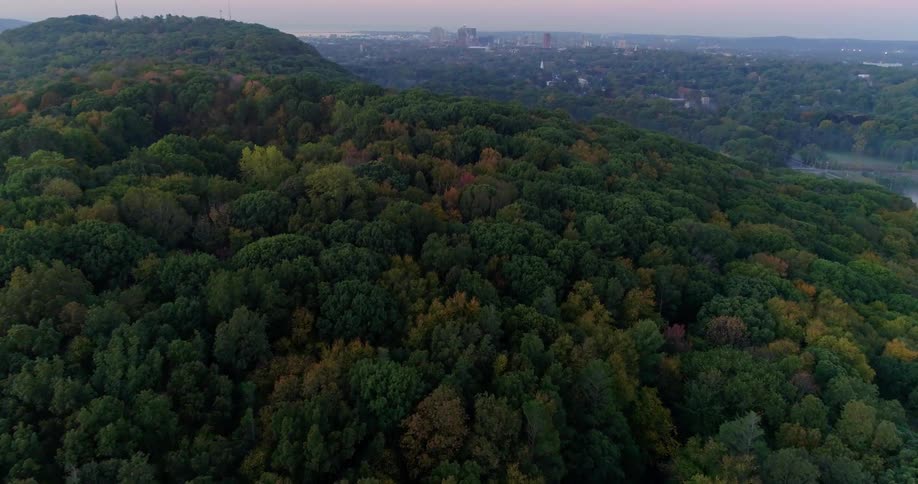 The tree tops of a mountain forest above a city skyline
