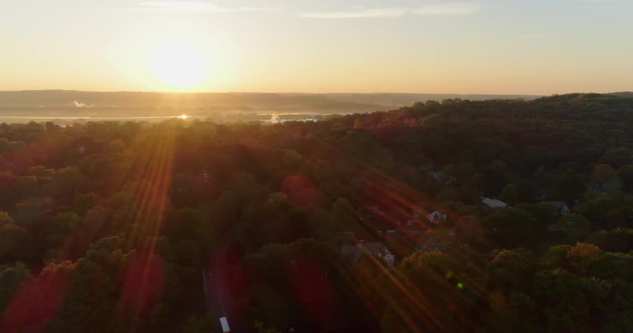 The sun shines brightly above a town covered with tall trees