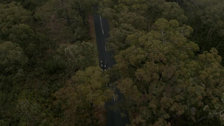 A line of cyclists on a road in the woods