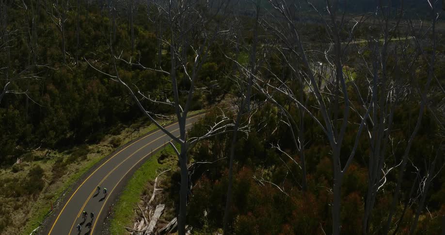 Bicyclists travel down a winding highway