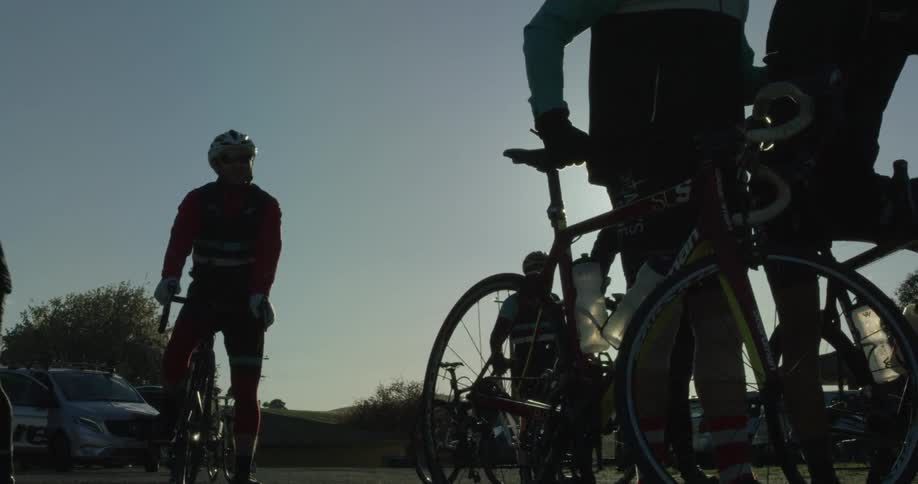 A group of cyclists on a sunny day