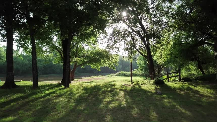 The sun is high in the sky shining in through the trees