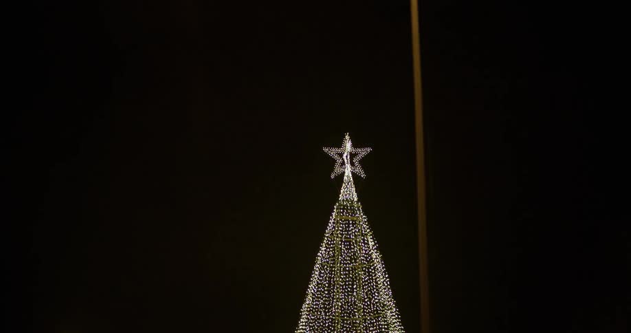 A lighted christmas tree with a star illuminates the night