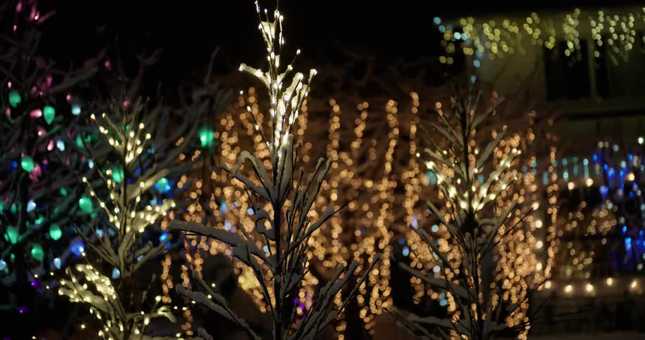 Lights twinkle on and off on plants at night