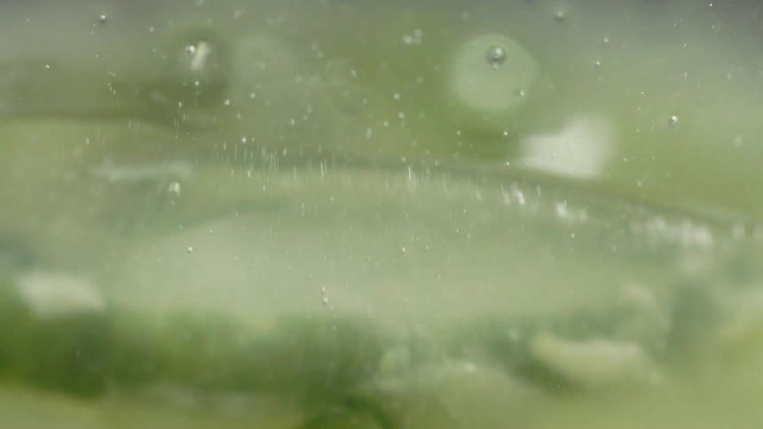 Citrus slices bob up and down in a glass of liquid