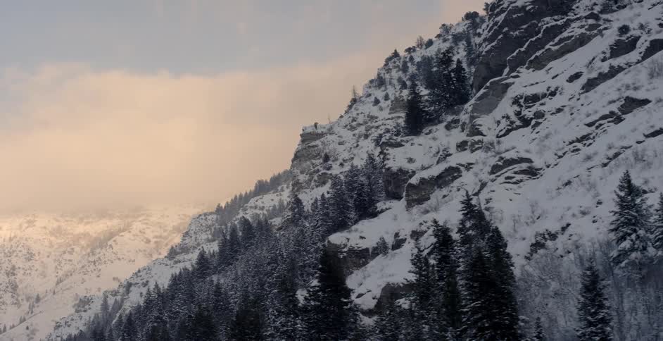 The mountain side is covered with trees and snow