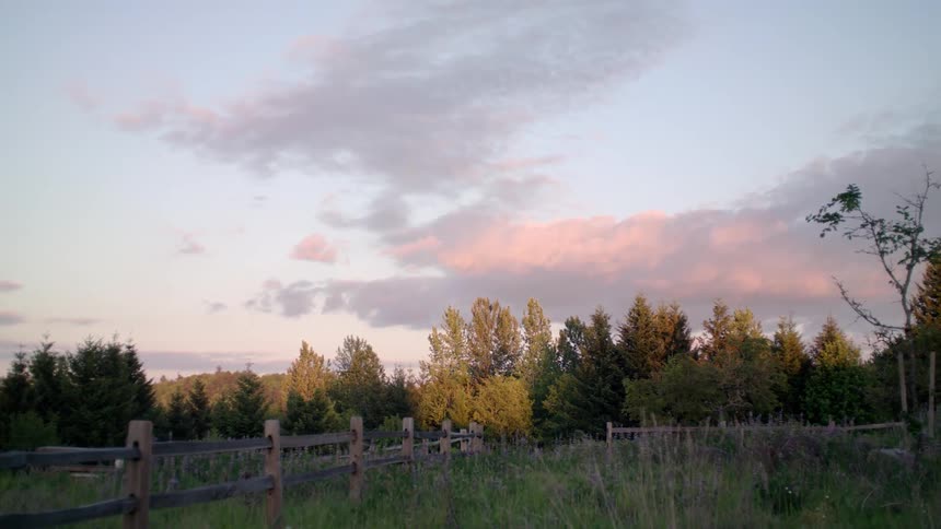 Pasture lined with a fence and trees