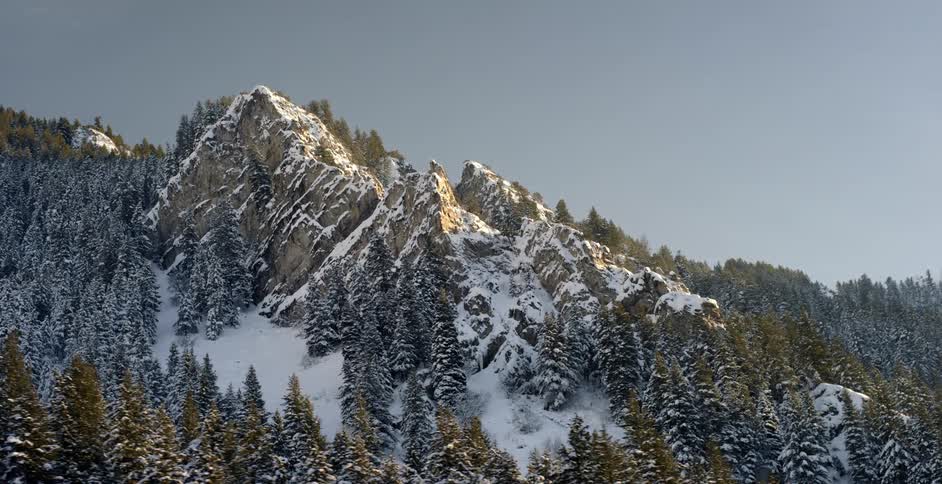 The mountain has tall pine trees and it is all covered in snow