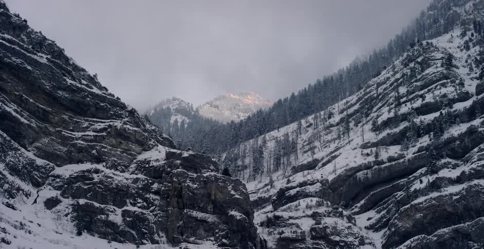 Pine trees cover the snowy mountain side